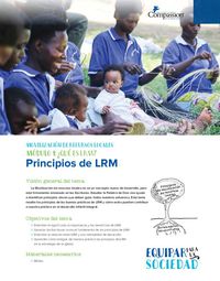¿Qué es LRM? Principios de LRM