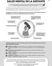2. Salud Mental de la gestante
