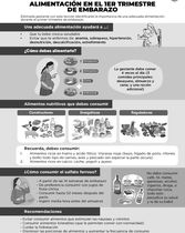 4. Alimentación en el Primer Trimestre