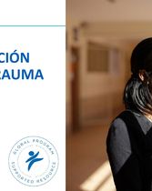 PPT - Capacitación sobre Trauma